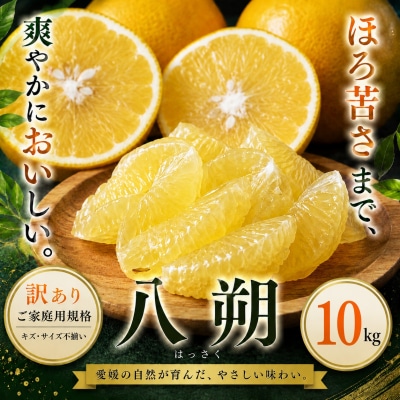  <訳あり 愛媛県産八朔 合計約10kg>果汁 果物 はっさく人気柑橘 特産品 愛媛
