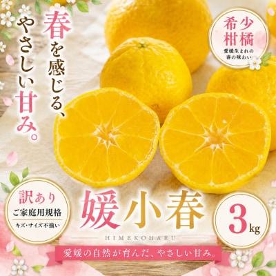<訳あり 愛媛県産媛小春 合計約3kg>ひめこはる 希少種ご家庭用 果汁 果物 くだもの