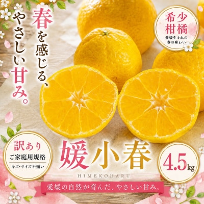 <訳あり 愛媛県産媛小春 合計約4.5kg>ひめこはる 希少種ご家庭用 果汁 果物 くだもの