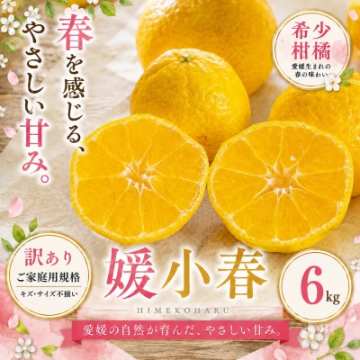  <訳あり 愛媛県産媛小春 合計約6kg>ひめこはる 希少種ご家庭用 果汁 果物 くだもの