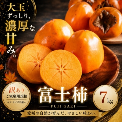 <訳あり 愛媛県産富士柿 合計約7kg> ふじ柿 果物 くだもの フルーツ 旬 大玉