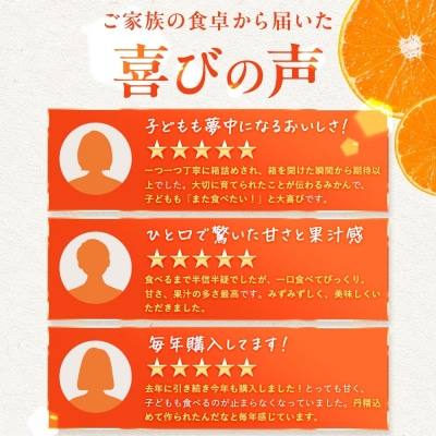 <訳あり 愛媛県産富士柿 合計約7kg> ふじ柿 果物 くだもの フルーツ 旬 大玉