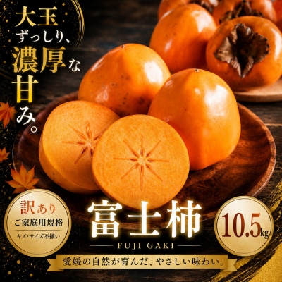 <訳あり 愛媛県産富士柿 合計約10.5kg> ふじ柿 果物 くだもの フルーツ 旬 大玉