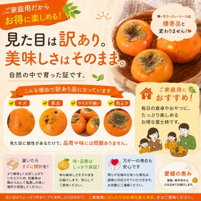 <訳あり 愛媛県産富士柿 合計約10.5kg> ふじ柿 果物 くだもの フルーツ 旬 大玉