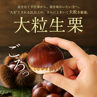 <大粒生栗 約1kg 3Lサイズ>『9月上旬から順次出荷予定』  生栗 くり 三大産地 愛媛 大きい