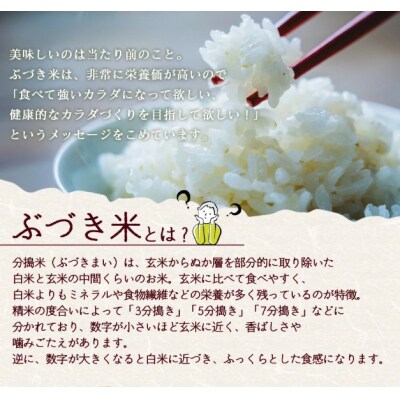 愛媛県西予市産　分搗米(BUDUKI)～うまいより、強いカ ラダに。～　ひめの凜　食べ比べセット 