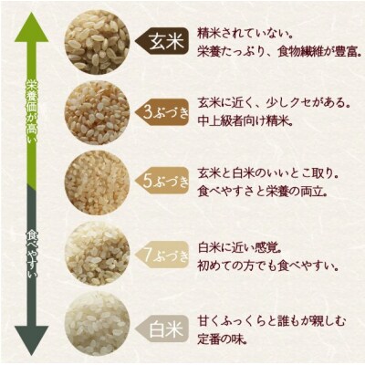 愛媛県西予市産　分搗米(BUDUKI)～うまいより、強いカ ラダに。～　ひめの凜　食べ比べセット 