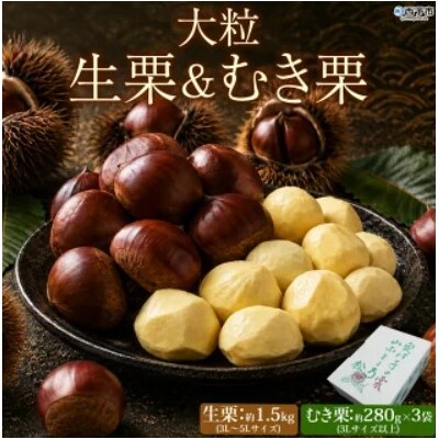 <大粒生栗&むき栗 合計約2.34kg>『9月上旬から順次出荷予定』 和栗 生栗