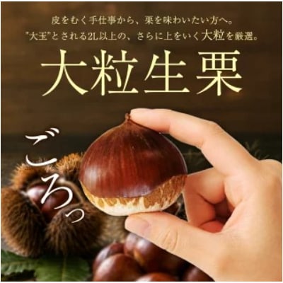 <大粒生栗&むき栗 合計約2.34kg>『9月上旬から順次出荷予定』 和栗 生栗