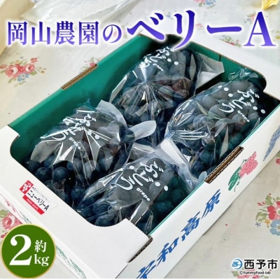 <ベリーA 約2kg>果物 くだもの フルーツ 葡萄 ブドウ やわらかい 果実 青果 やさしい甘さ