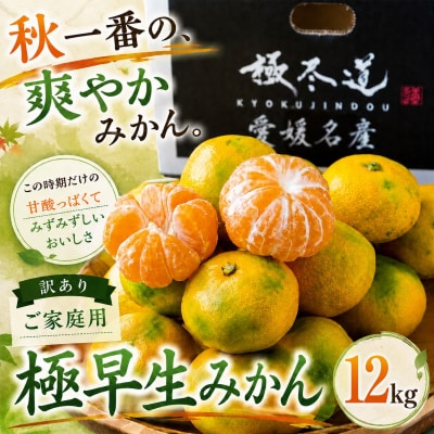 [秋一番果 愛媛県産極早生みかん 合計約kg]訳あり ごくわせ ミカン 蜜柑 食感 甘い
