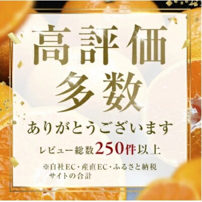 <秋一番果 愛媛県産極早生みかん 合計約kg>訳あり ごくわせ ミカン 蜜柑 食感 甘い