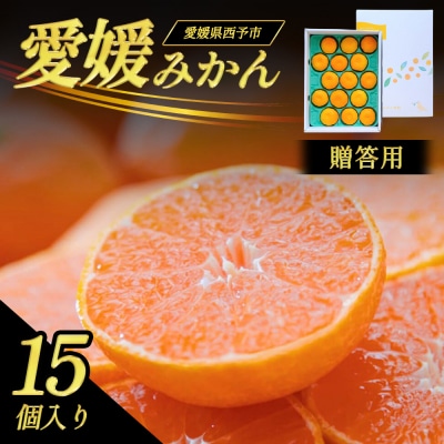 <贈答用 西予産 愛媛みかん 15個入 のし付き>愛媛県産 えひめ ミヤモトオレンジガーデン