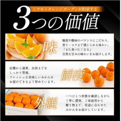 <贈答用 西予産 愛媛みかん 15個入 のし付き>愛媛県産 えひめ ミヤモトオレンジガーデン