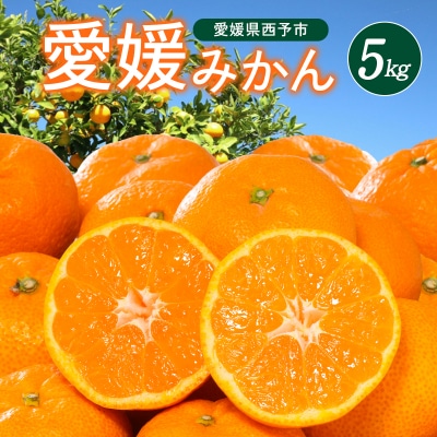 <西宇和地区西予産 愛媛みかん 約5kg>温州みかん ミカン 蜜柑