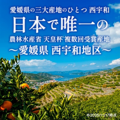 <西宇和地区西予産 愛媛みかん 約5kg>温州みかん ミカン 蜜柑