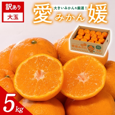 [訳あり 大玉 愛媛みかん 約5kg]ご家庭用 ご自宅 蜜柑 愛媛県産 ミヤモトオレンジガーデン