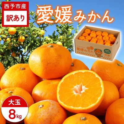 <訳あり 大玉 愛媛みかん 約8kg>ご家庭用 ご自宅 蜜柑 愛媛県産 ミヤモトオレンジガーデン