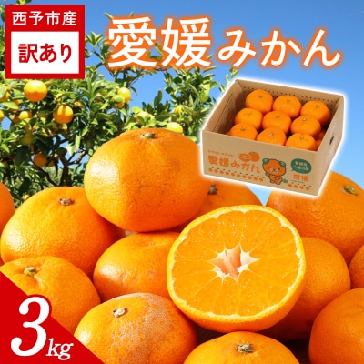 [訳あり 愛媛みかん 約3kg] ご家庭用 ご自宅 蜜柑愛媛県産 ミヤモトオレンジガーデン