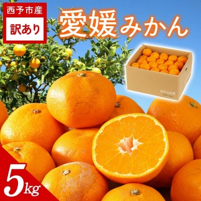 <訳あり 愛媛みかん 約5kg> ご家庭用 ご自宅 蜜柑愛媛県産 ミヤモトオレンジガーデン