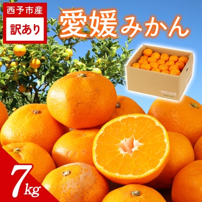 <訳あり 愛媛みかん 約7kg> ご家庭用 ご自宅 蜜柑愛媛県産 ミヤモトオレンジガーデン