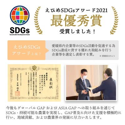 <訳あり 愛媛みかん 約10kg> ご家庭用 ご自宅 蜜柑愛媛県産 ミヤモトオレンジガーデン