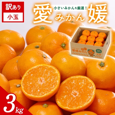 [訳あり愛媛県産小玉みかん 約3kg] ご家庭用 ご自宅 愛媛県産 ミヤモトオレンジガーデン