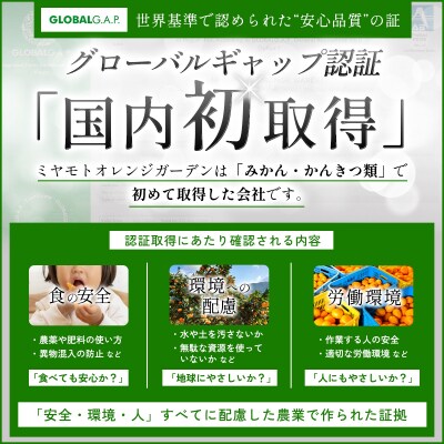 <訳あり愛媛県産小玉みかん 約3kg> ご家庭用 ご自宅 愛媛県産 ミヤモトオレンジガーデン