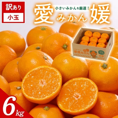 <訳あり愛媛県産小玉みかん 約6kg> ご家庭用 ご自宅 愛媛県産 ミヤモトオレンジガーデン
