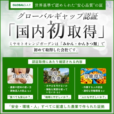 <訳あり愛媛県産小玉みかん 約6kg> ご家庭用 ご自宅 愛媛県産 ミヤモトオレンジガーデン