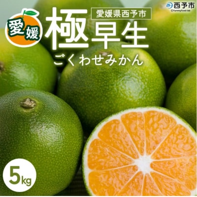 [西予産 極早生みかん 5kg]『2026年10月以降順次出荷予定』みかん フレッシュ ごくわせ