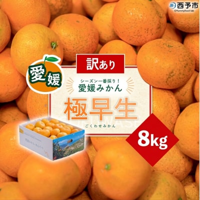 <訳あり 愛媛県産 極早生みかん 約8kg>『2026年10月以降順次出荷予定』ご家庭用  愛媛県産