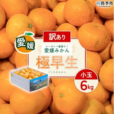 <訳あり 西予市産 極早生みかん 小玉 約6kg> 『2026年10月以降順次出荷予定』愛媛県