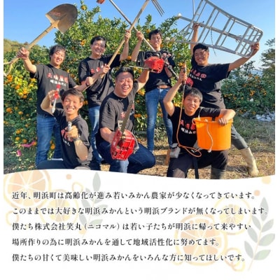  定期便3回 笑丸みかん(温州みかん)約2kg 小玉  笑丸 愛媛県