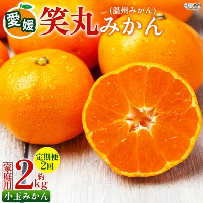 定期便2回 笑丸みかん(温州みかん)約2kg 小玉 笑丸 愛媛県