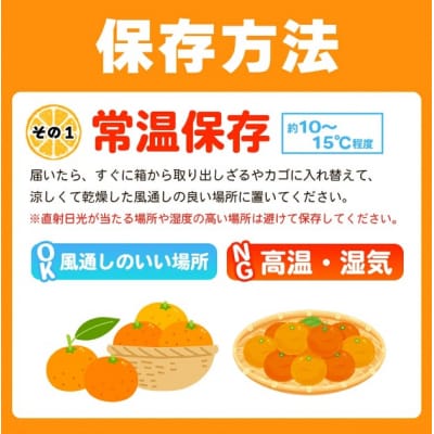 定期便2回 笑丸みかん(温州みかん)約2kg 小玉 笑丸 愛媛県