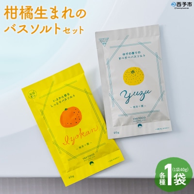 <柑橘生まれのバスソルトセット 2袋>『1か月以内に順次出荷予定』