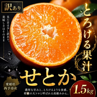 <濃密果汁 愛媛県せとか 合計約1.5kg>訳あり セトカ ミカン ご家庭用