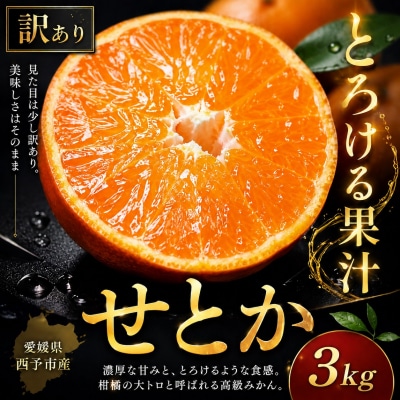 <濃密果汁 愛媛県せとか 合計約3kg>訳あり セトカ ミカン ご家庭用
