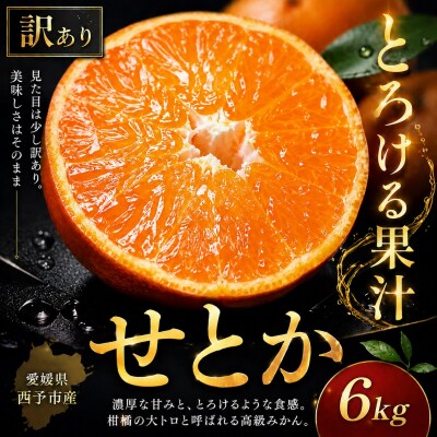 <濃密果汁 愛媛県せとか 合計約6kg>訳あり セトカ ミカン ご家庭用