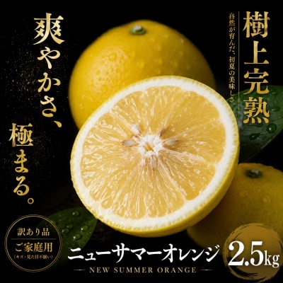 <涼やかな柑橘 愛媛県産ニューサマーオレンジ 合計約2.5kg> 訳あり ミカン 蜜柑 ご家庭用 