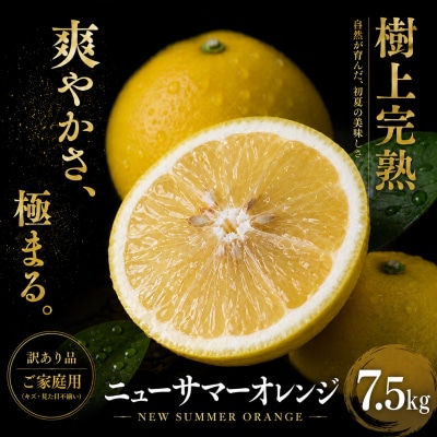 <涼やかな柑橘 愛媛県産ニューサマーオレンジ 合計約7.5kg> 訳あり ミカン 蜜柑 ご家庭用