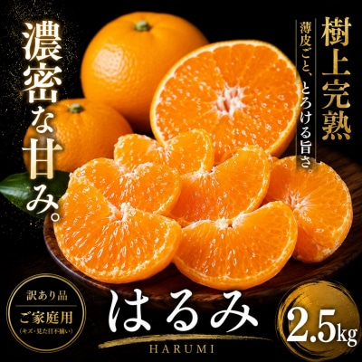 <果粒の旨み 愛媛県産はるみ 合計約2.5kg>濃厚 ぷちぷち食感 ミカン 蜜柑 ご家庭用 