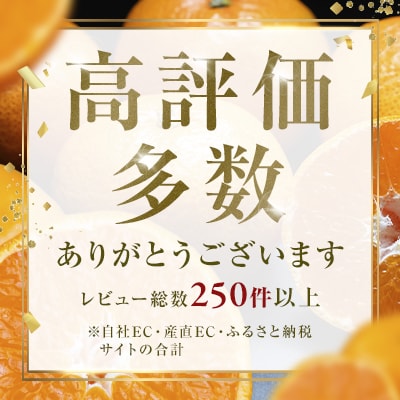 <果粒の旨み 愛媛県産はるみ 合計約2.5kg>濃厚 ぷちぷち食感 ミカン 蜜柑 ご家庭用 