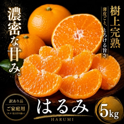<果粒の旨み 愛媛県産はるみ 合計約5kg>濃厚 ぷちぷち食感 ミカン 蜜柑 ご家庭用