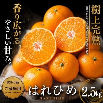 <芳醇な香り 愛媛県産はれひめ 合計約2.5kg>ミカン 蜜柑 ご家庭用