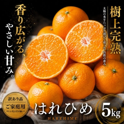 <芳醇な香り 愛媛県産はれひめ 合計約5kg>ミカン 蜜柑 ご家庭用