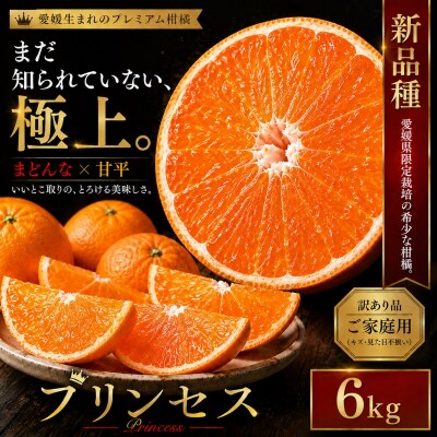 <極少量品種 愛媛県産プリンセス 合計約6kg>蜜柑 ご家庭用 果汁