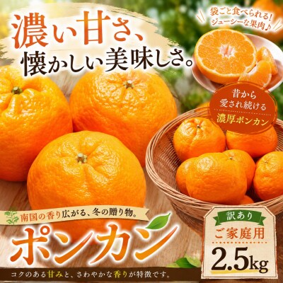 <濃厚な甘み 愛媛県産ポンカン 合計約2.5kg>ミカン 蜜柑 ご家庭用 