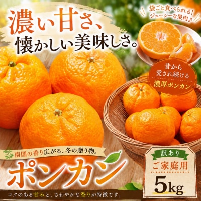 <濃厚な甘み 愛媛県産ポンカン 合計約5kg>ミカン 蜜柑 ご家庭用